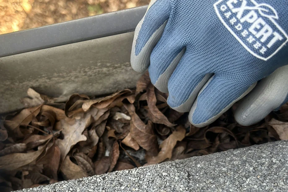 Gutter Cleaning Spring Hill, TN